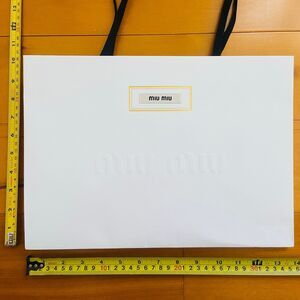 Miu Miu Paper Shopping Bag (13.75" x 9.75" x 5.75")